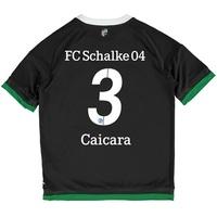 Schalke 04 Third Shirt 2015-17 - Kids Grey with Ciacara 3 printing, Grey