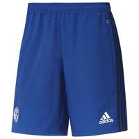 Schalke 04 Training Woven Short - Blue, Blue