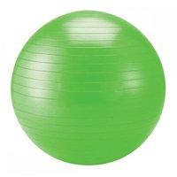 Schildkrot Fitness 55cm Gym Ball