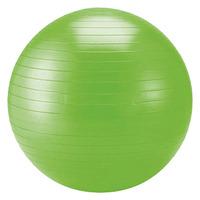 Schildkrot Fitness 75cm Gym Ball
