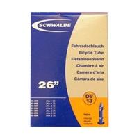 schwalbe dv 13