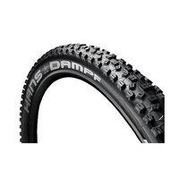 Schwalbe Hans Dampf Evo MTB Tyre - SnakeSkin