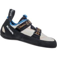 Scarpa Velocity light gray/royal...
