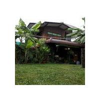 SDT Home