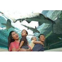 sea life sydney aquarium 2 attractions combo ticket