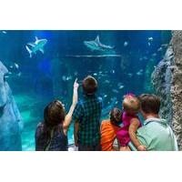 sea life helsinki super ticket including free guidebook and behind the ...