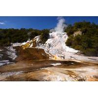 self guided geothermal tour in orakei korako