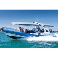 Seal Island Boat Tour from Victor Harbor