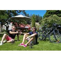 self guided private tour gibbston valley bike ride with winery cave to ...