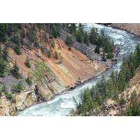 Self-Guided Tour of Yellowstone Upper Loop from Cody