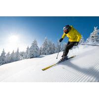 Seoul Ski Tour: Yangji Pine Resort or Jisan Forest Resort