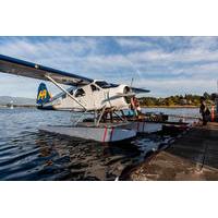 seaplane flight to victoria and whale watching cruise