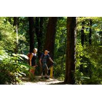 Self-Guided Queen Charlotte Track Walk from Picton