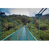 selvatura park hanging bridge canopy tour in monteverde