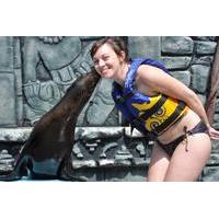 Sea Lion Encounter in Cozumel at Chankanaab Beach Adventure Park