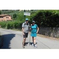 Settignano\'s Hills Walking Tour