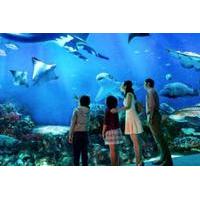 sea aquarium admission e ticket