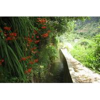 Serra D\'Água Valley - Levada Walk