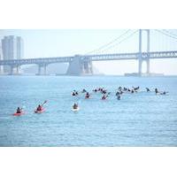 Seoul Kayaking Tour on the Han River