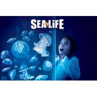 SEA LIFE Charlotte Concord Aquarium Admission