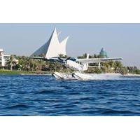 Seaplane Tour and Al Maha Wildlife Drive from Dubai