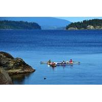 Secret Cove Kayak Tour