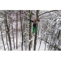 Seilpark Interlaken Winter Adventure