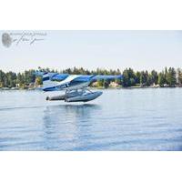 Seattle Seaplane Tour