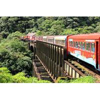 Serra Verde Express: Rail Tour to Morretes and Antoninna from Curitiba