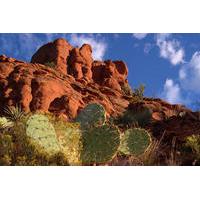 sedona red rocks jeep adventure