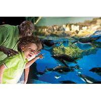 SeaWorld® San Antonio