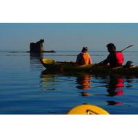 sea kayak half day trip near olympic national park