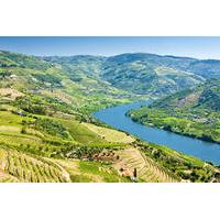 Semi-Private Tour: Wine Region in Douro Valley