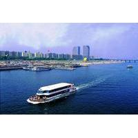 seoul 4 hour afternoon tour including the han river cruise coex aquari ...
