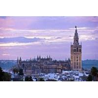 Seville Cathedral and Giralda Tower Guided Tour