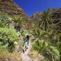 Secrets of Tenerife Walk