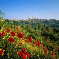 Secrets of San Gimignano Cycling