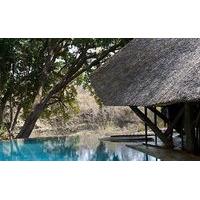 selous serena camp