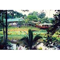 Sepilok Jungle Resort