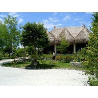 Sea Turtle House