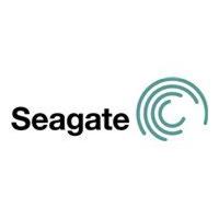 Seagate Enterprise Performance Hard Drive 300GB SAS 12Gb/ s