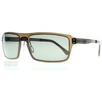 serengeti duccio sunglasses crystal dark brown 7811 polariserade