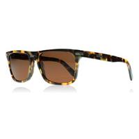 serengeti carlo sunglasses mossy tortoise 8160 polariserade