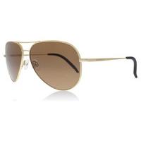 serengeti carrara sunglasses gold gold polariserade 59mm