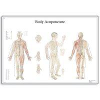 SEIRIN Body Acupuncture Chart