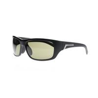 Serengeti Orvieto 7755 Shiny Satin Black Polarised