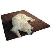 Senior Gold 7+ Dog Bed, Large