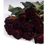 Select Black Roses