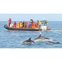 Sea Cave RIB Boat Trip for Two in Padstow, Cornwall