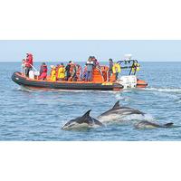 sea cave rib boat trip for two in padstow cornwall